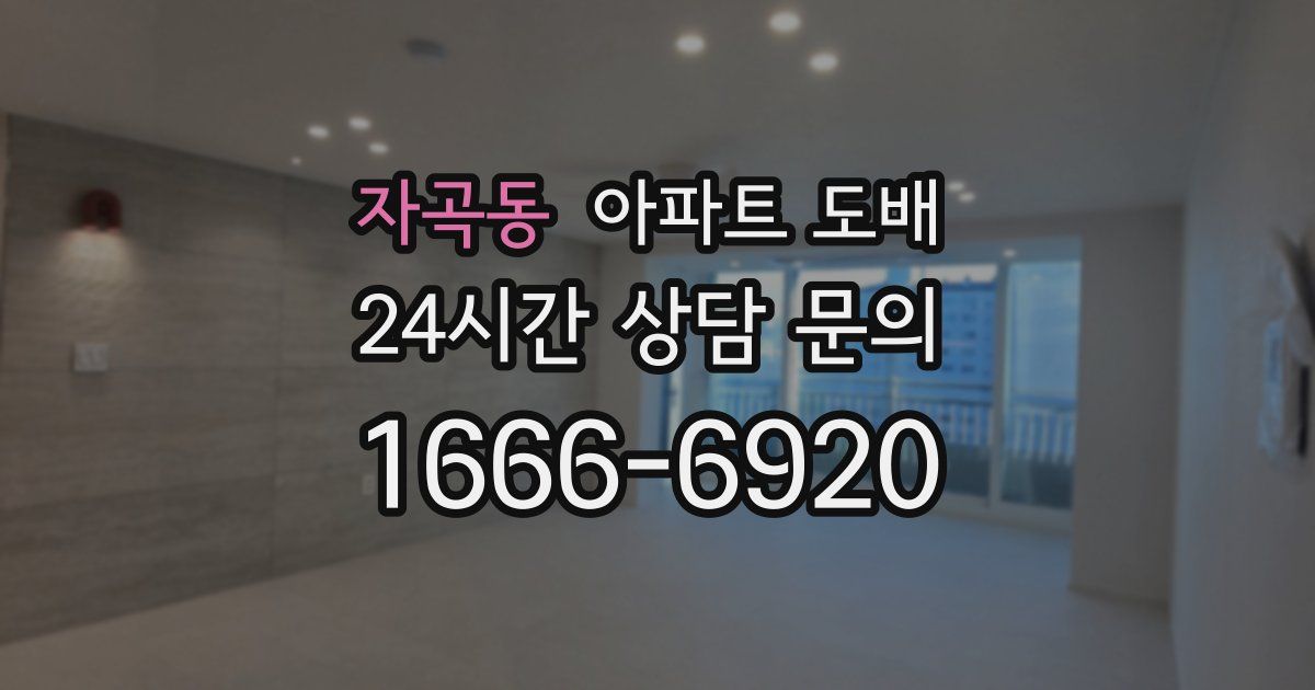 자곡동 아파트 도배
