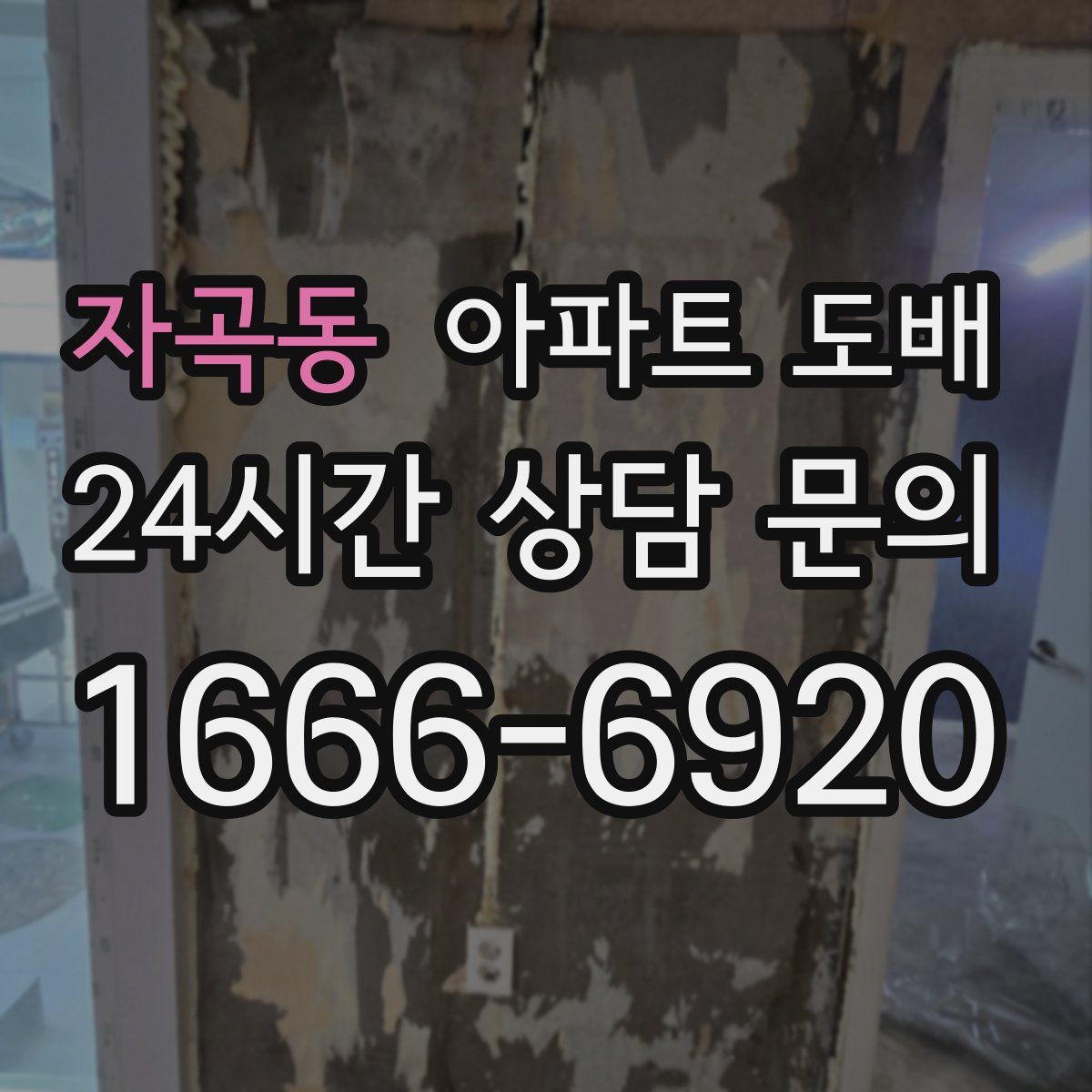 자곡동 아파트 도배