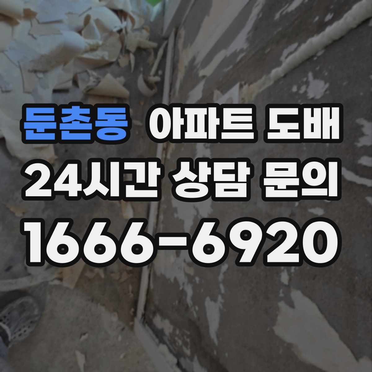 둔촌동 아파트 도배