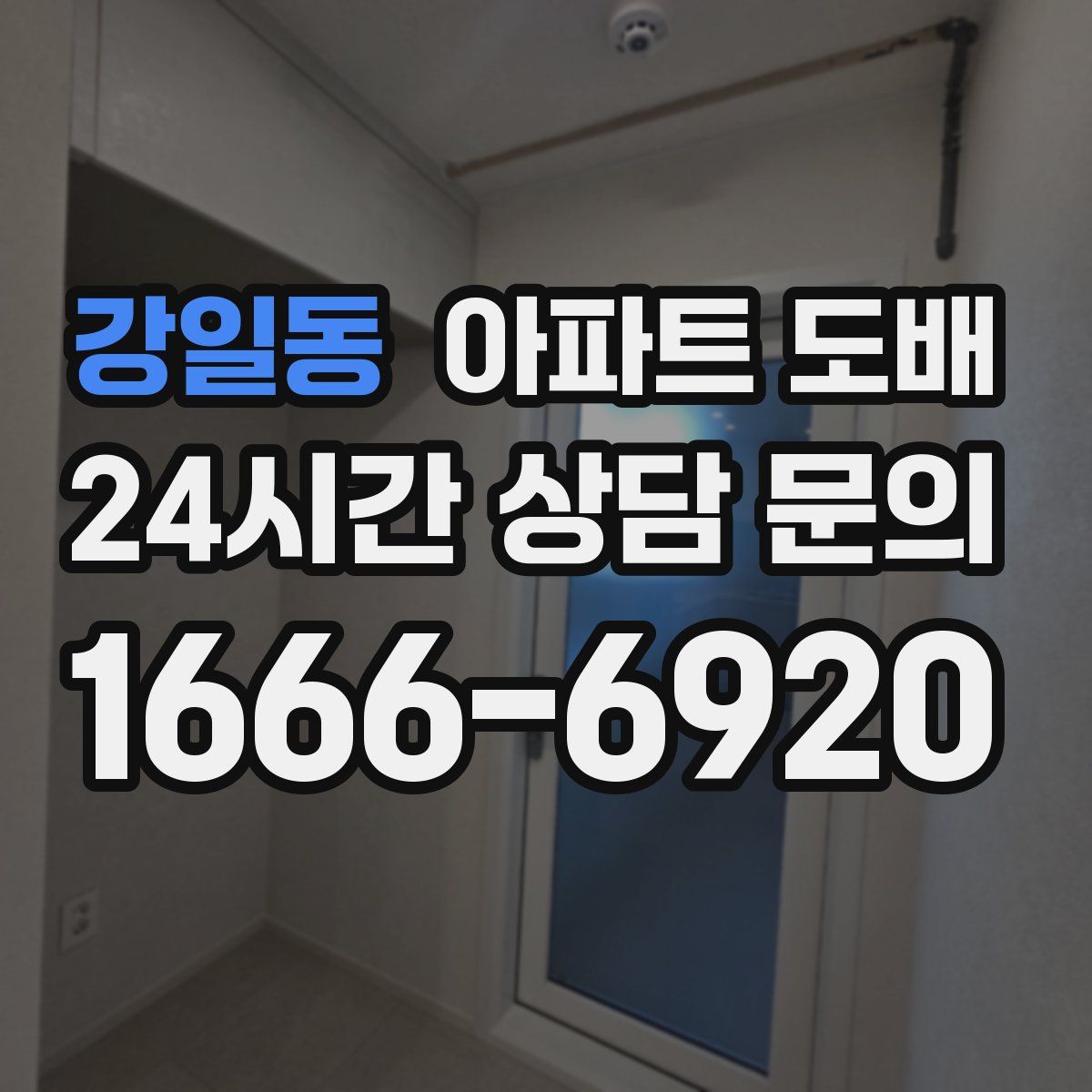 강일동 아파트 도배