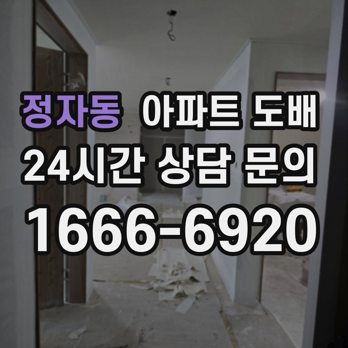 정자동 아파트 도배