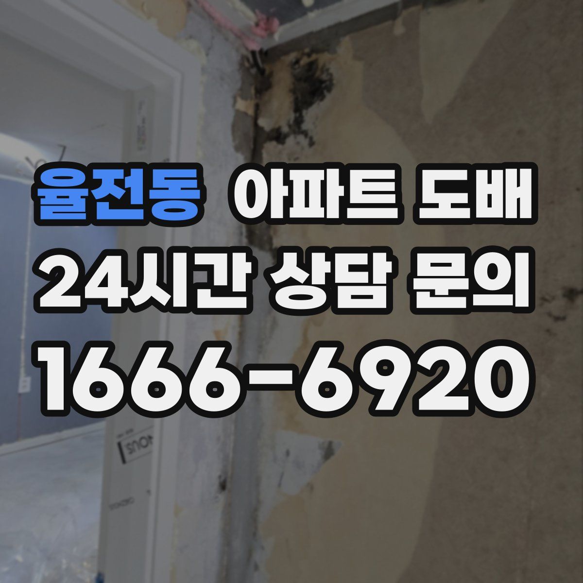 율전동 아파트 도배