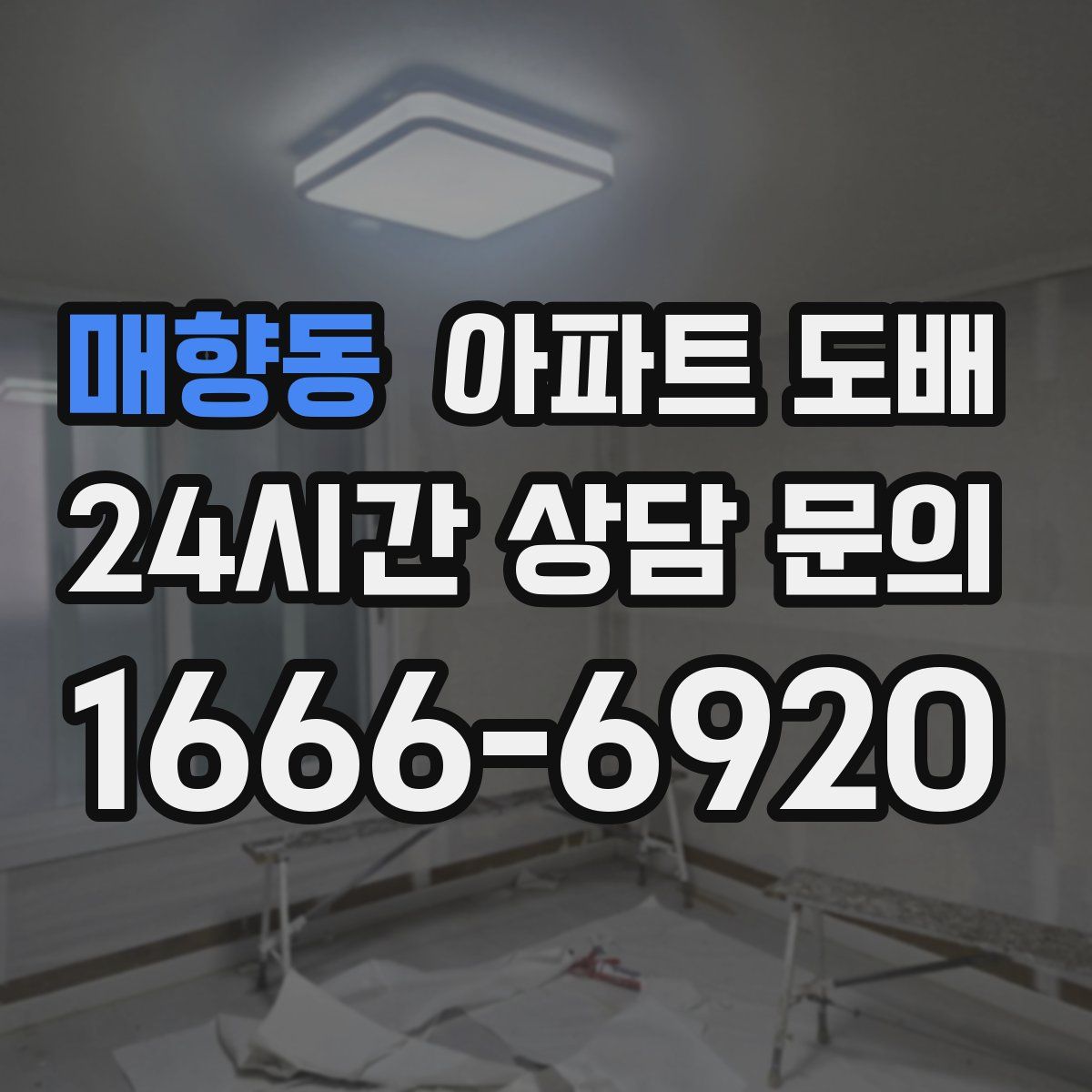 매향동 아파트 도배