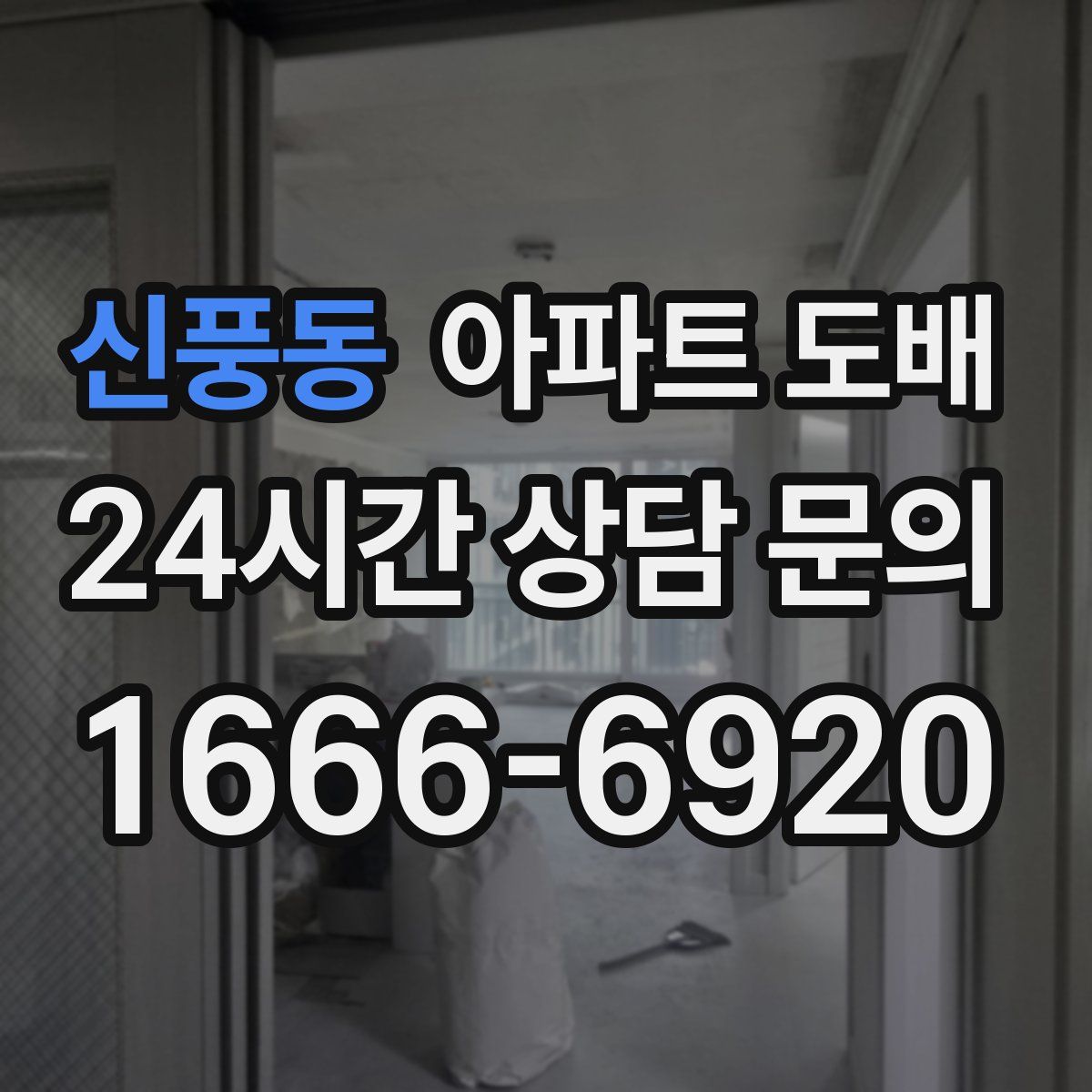 신풍동 아파트 도배