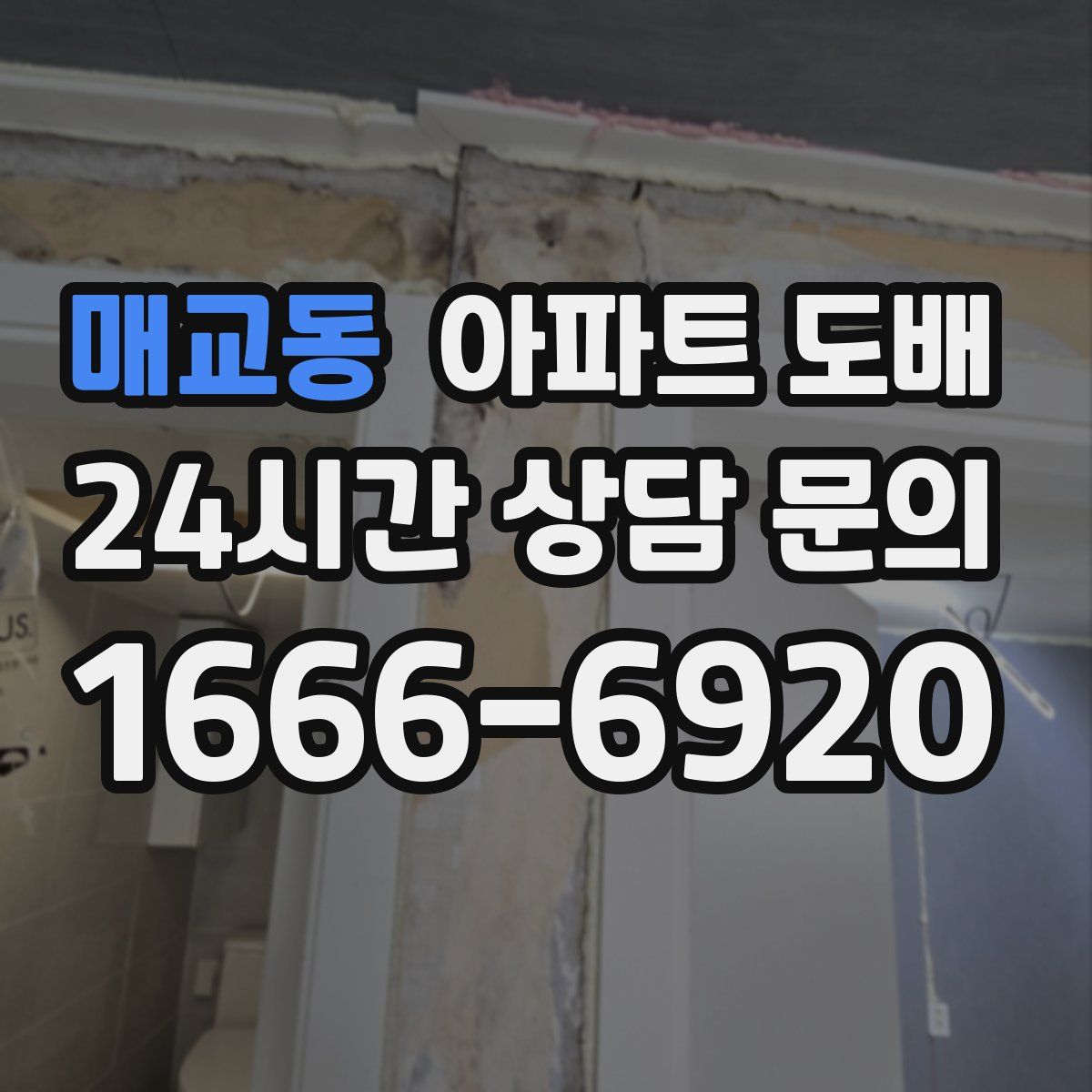 매교동 아파트 도배