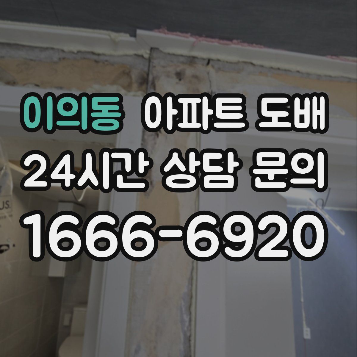 이의동 아파트 도배