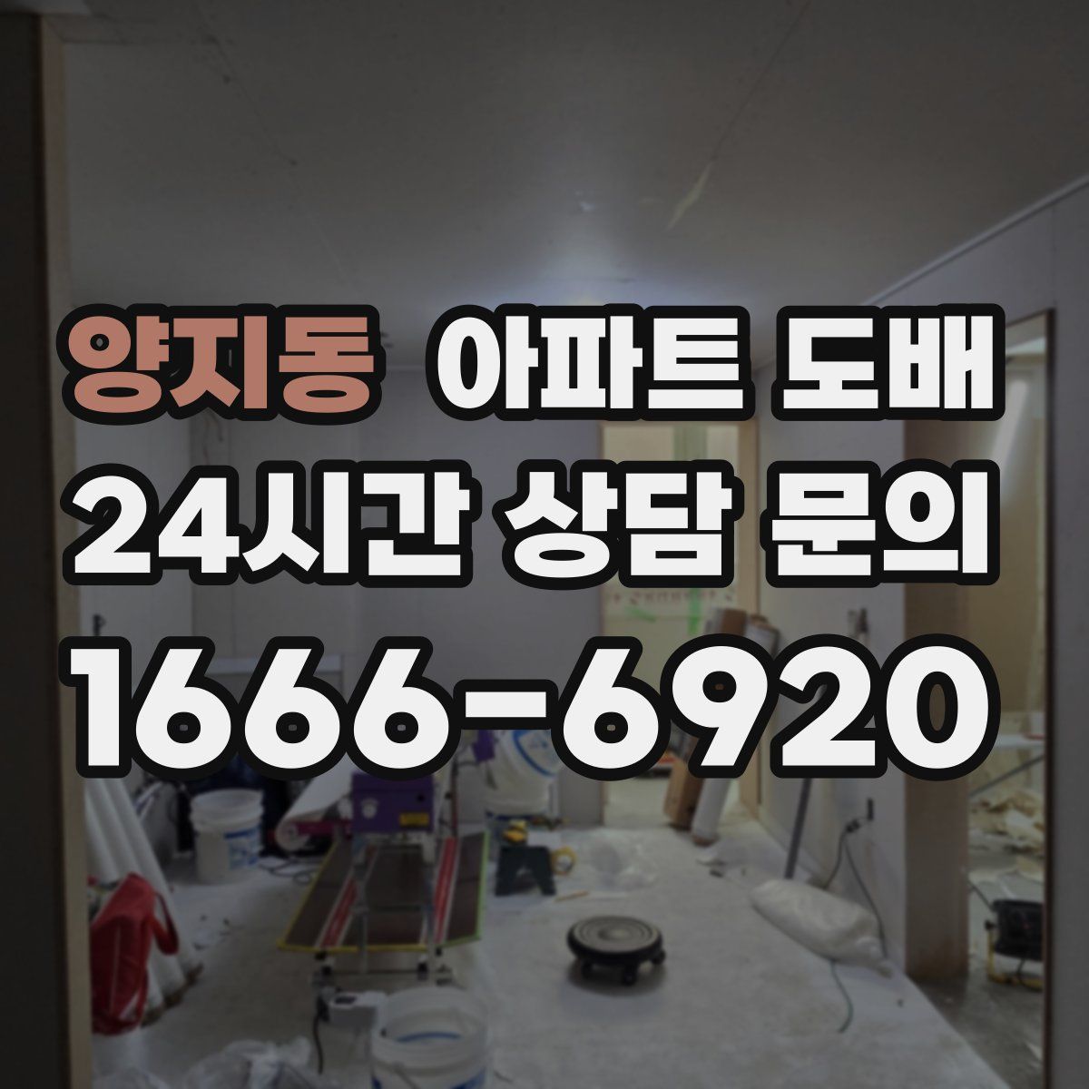 양지동 아파트 도배