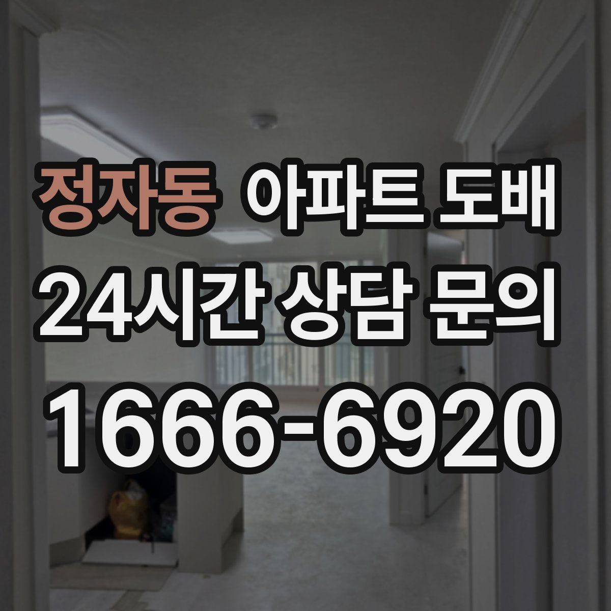 정자동 아파트 도배