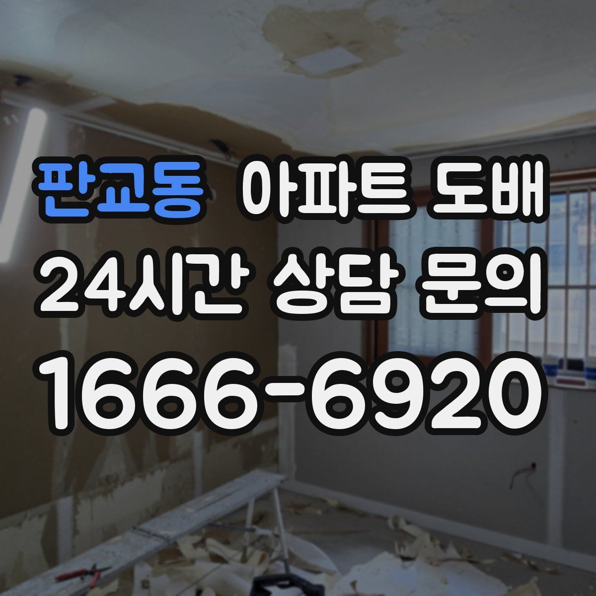판교동 아파트 도배