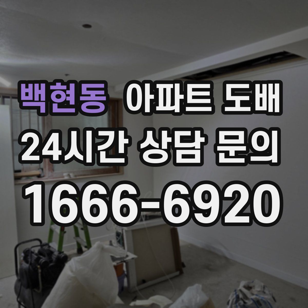 백현동 아파트 도배