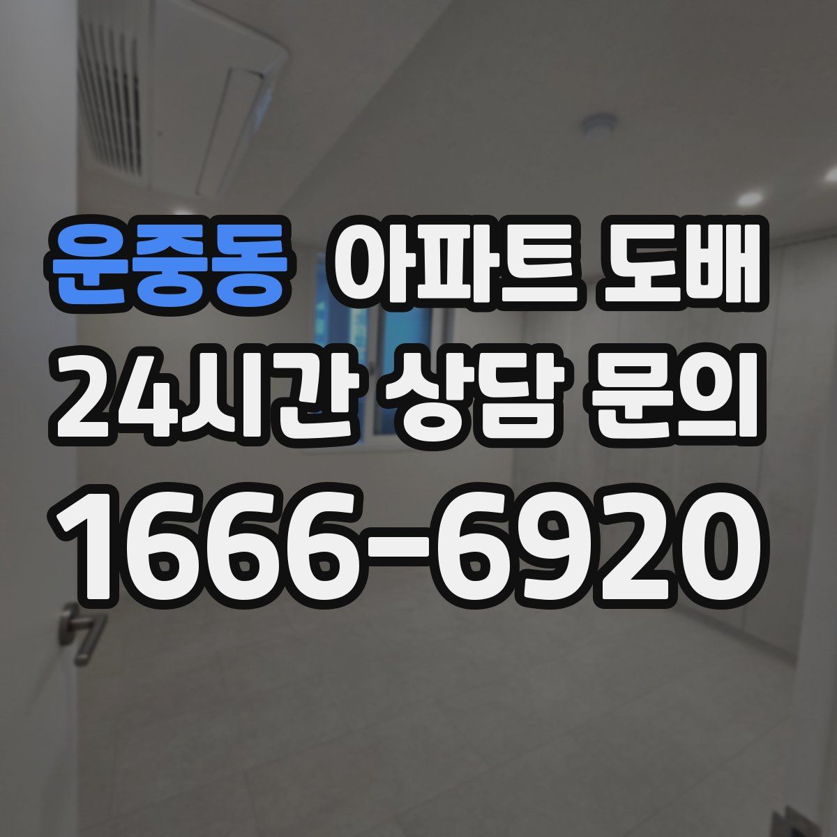 운중동 아파트 도배