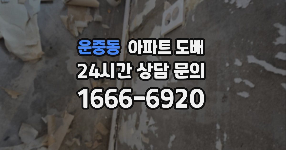 운중동 아파트 도배