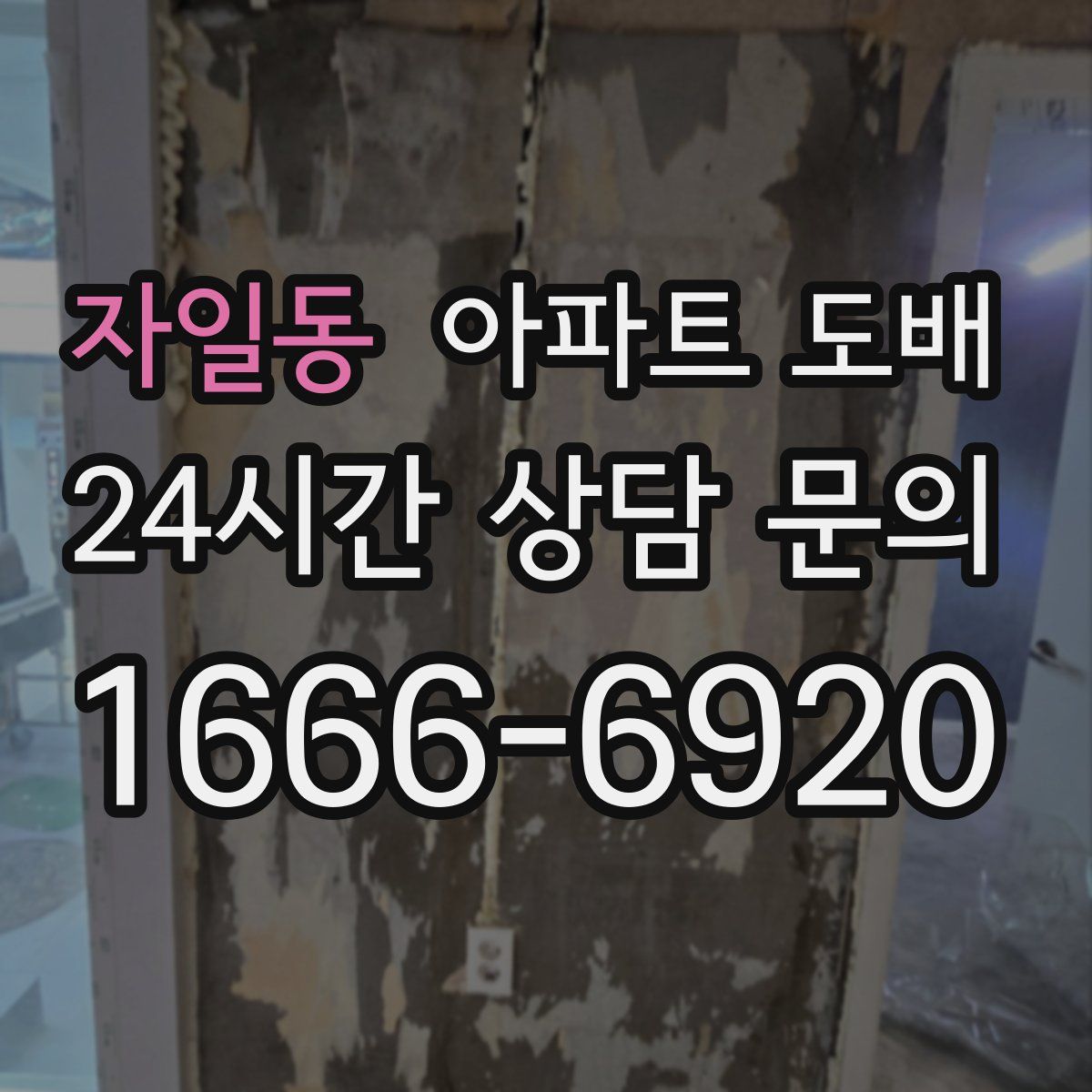 자일동 아파트 도배