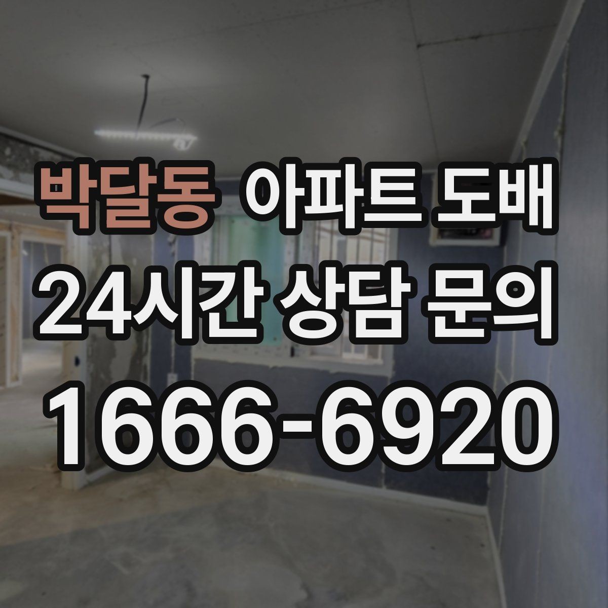 박달동 아파트 도배 주택과 아파트 차이를 함께 볼 때