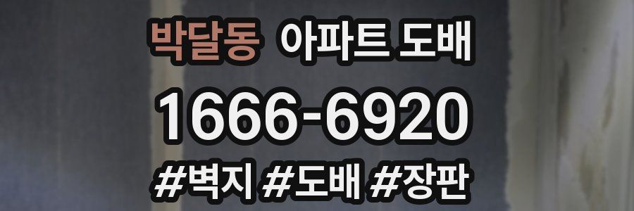 박달동 아파트 도배