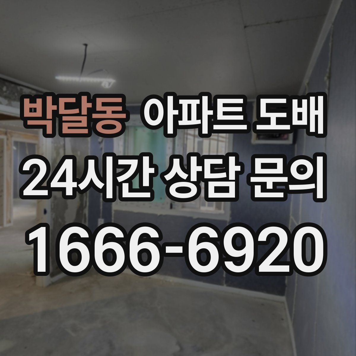 박달동 아파트 도배