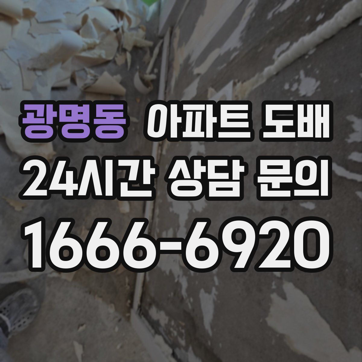 광명동 아파트 도배