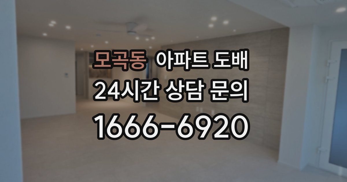 모곡동 아파트 도배