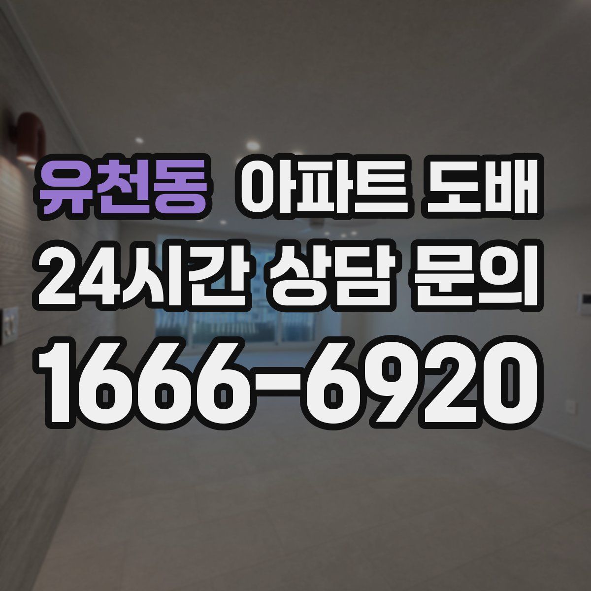 유천동 아파트 도배