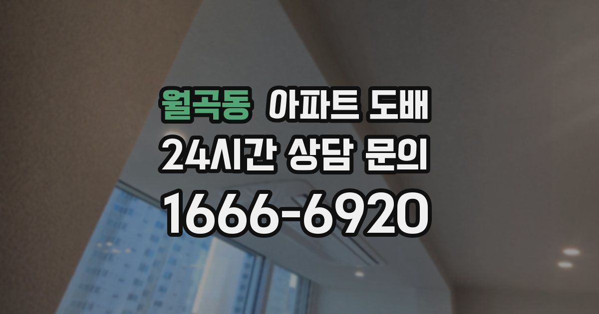 월곡동 아파트 도배