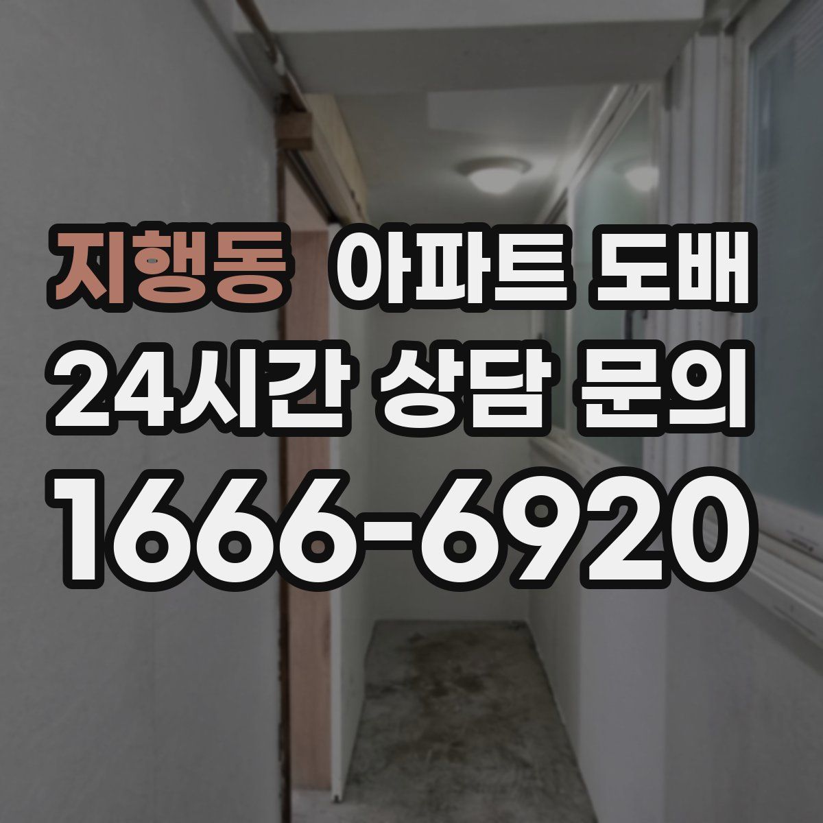 지행동 아파트 도배