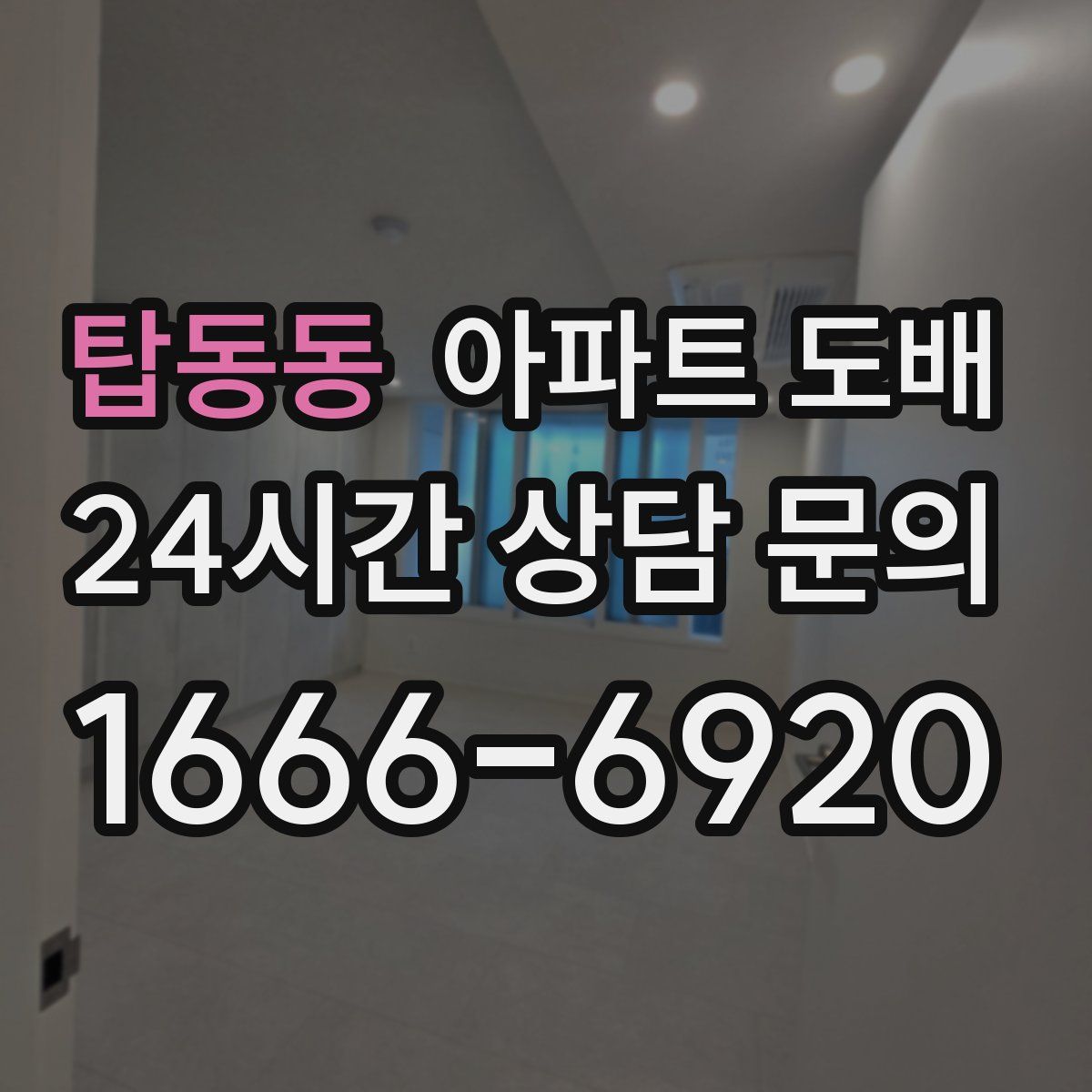 탑동동 아파트 도배