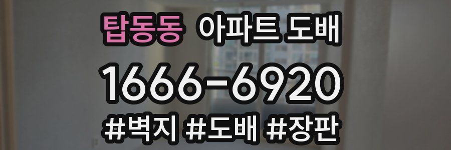 탑동동 아파트 도배