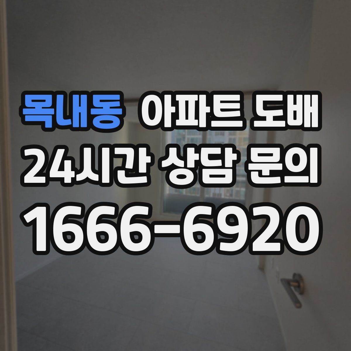 목내동 아파트 도배