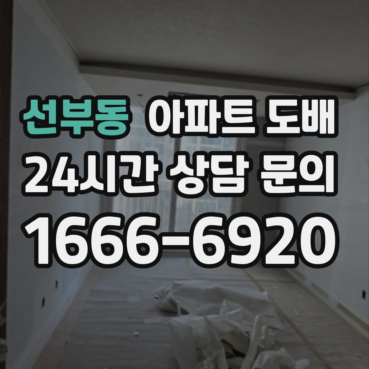 선부동 아파트 도배