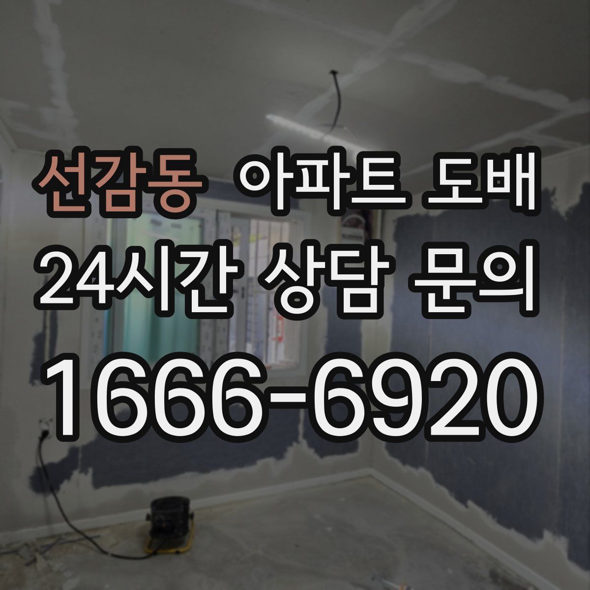 선감동 아파트 도배