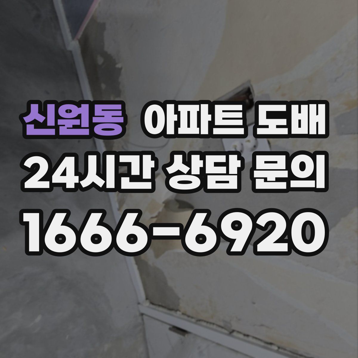 신원동 아파트 도배