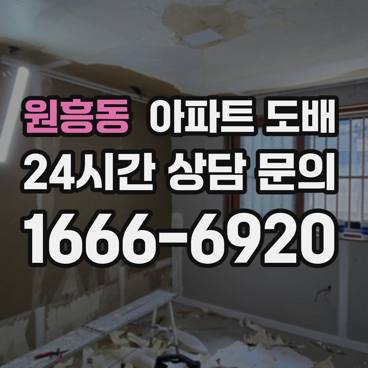 원흥동 아파트 도배