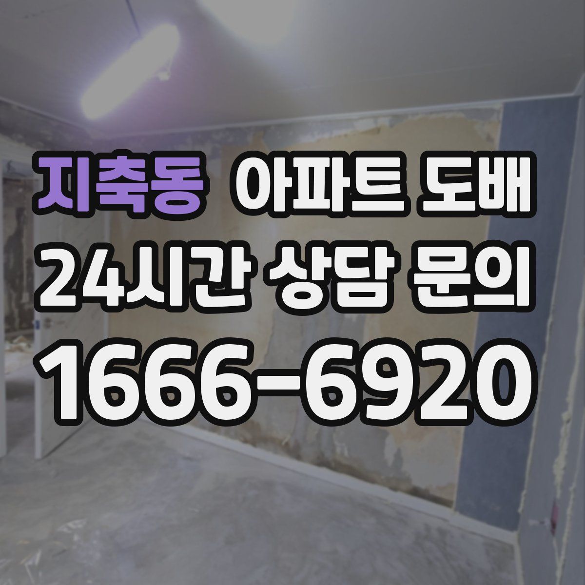 지축동 아파트 도배