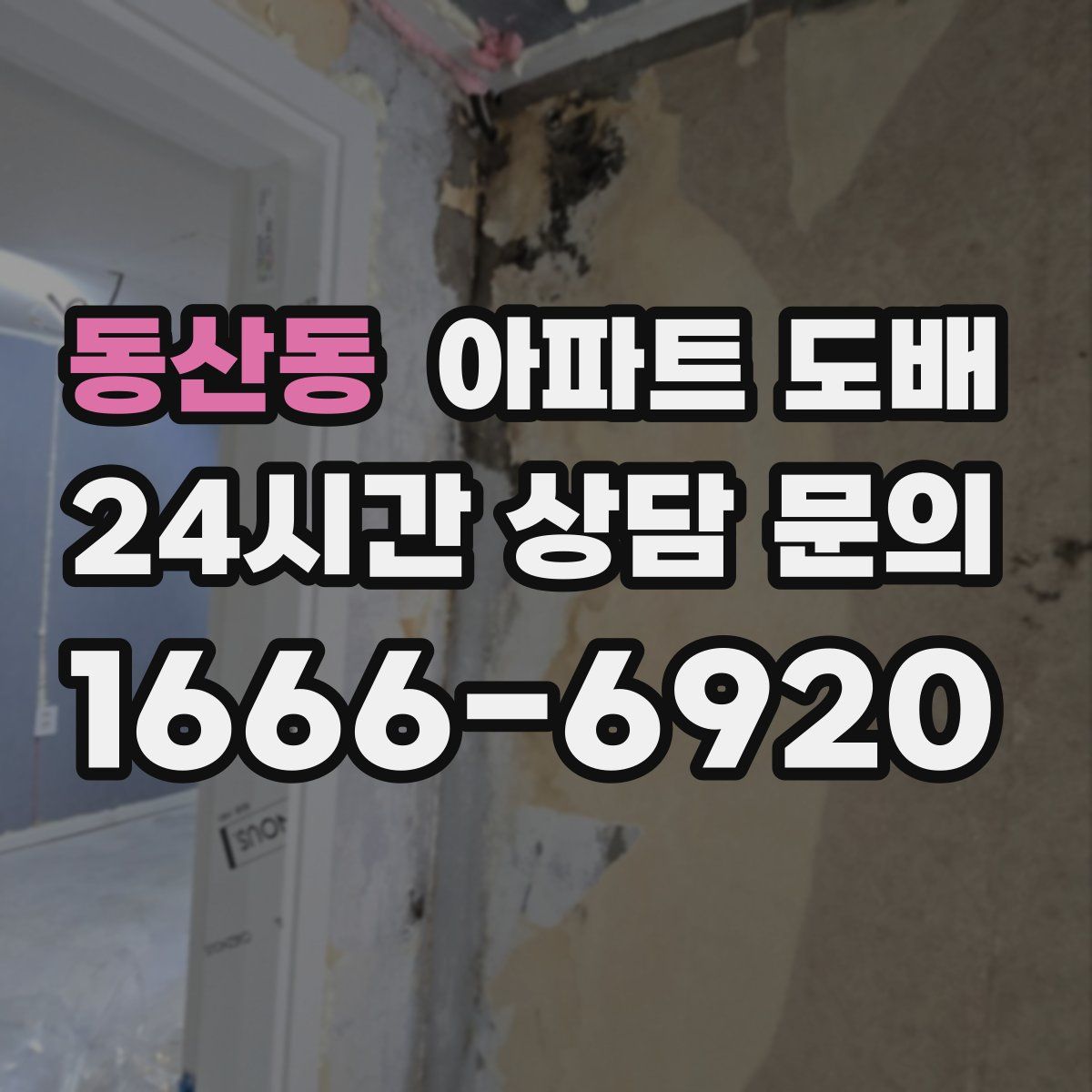 동산동 아파트 도배