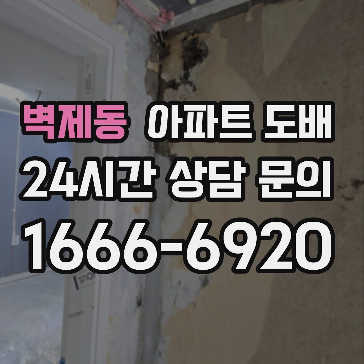 벽제동 아파트 도배
