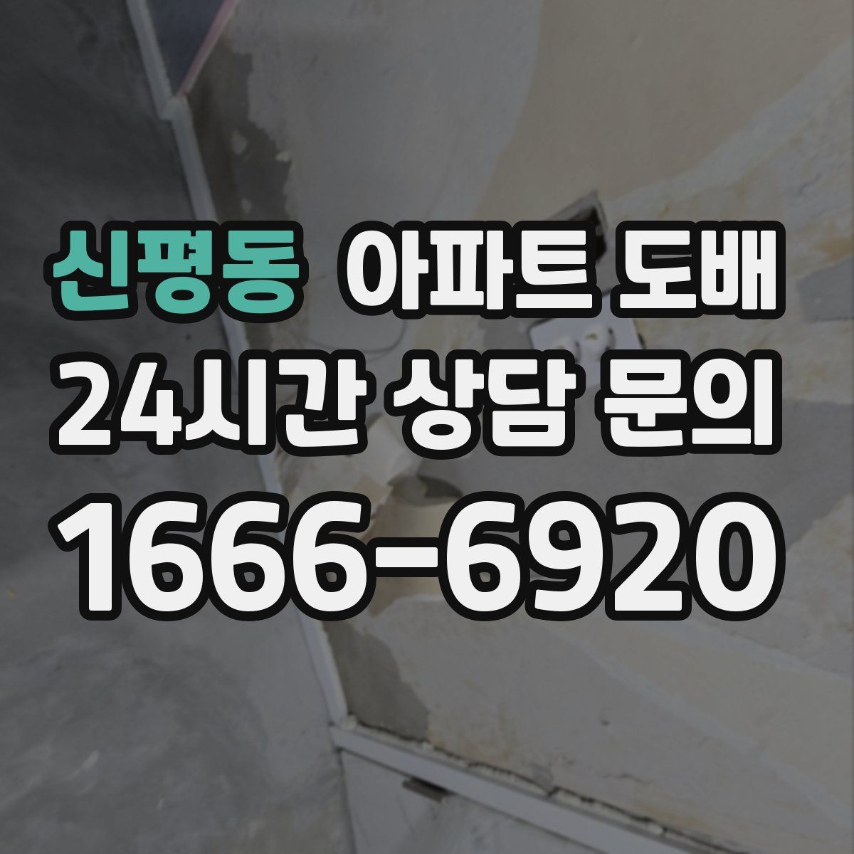 신평동 아파트 도배