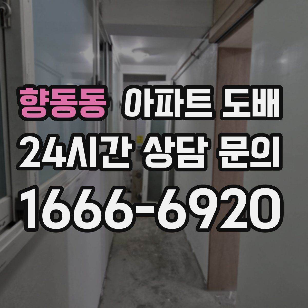 향동동 아파트 도배