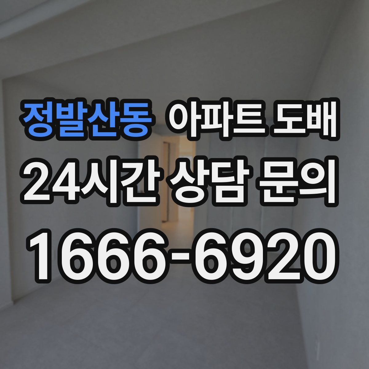 정발산동 아파트 도배