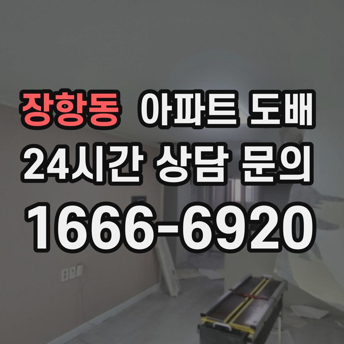 장항동 아파트 도배