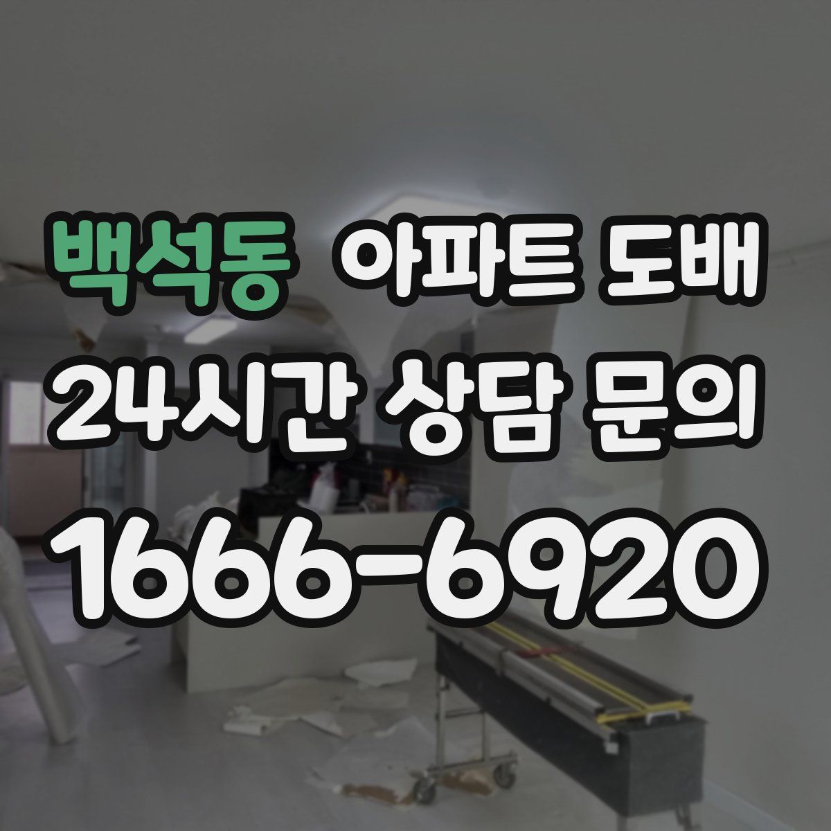 백석동 아파트 도배