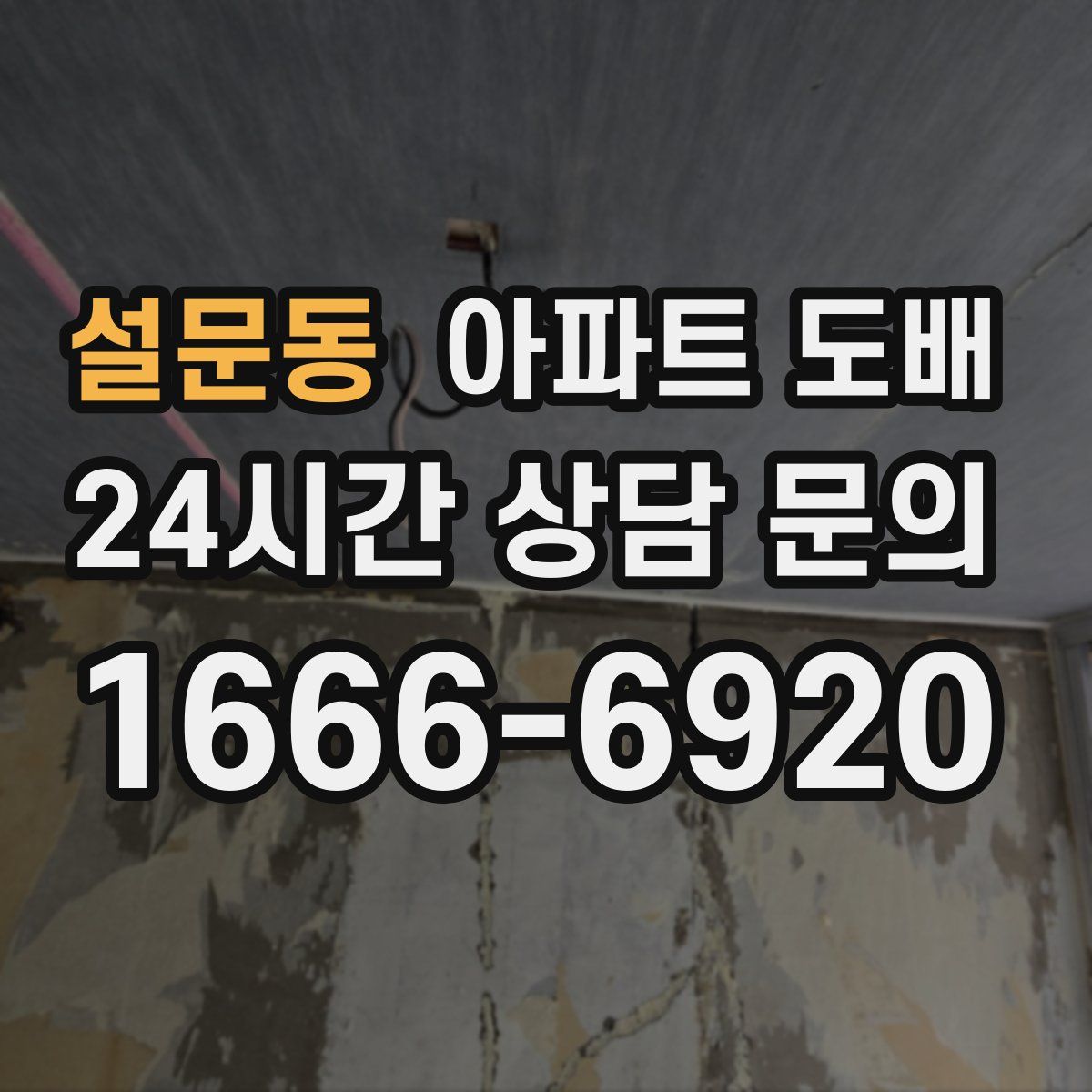 설문동 아파트 도배