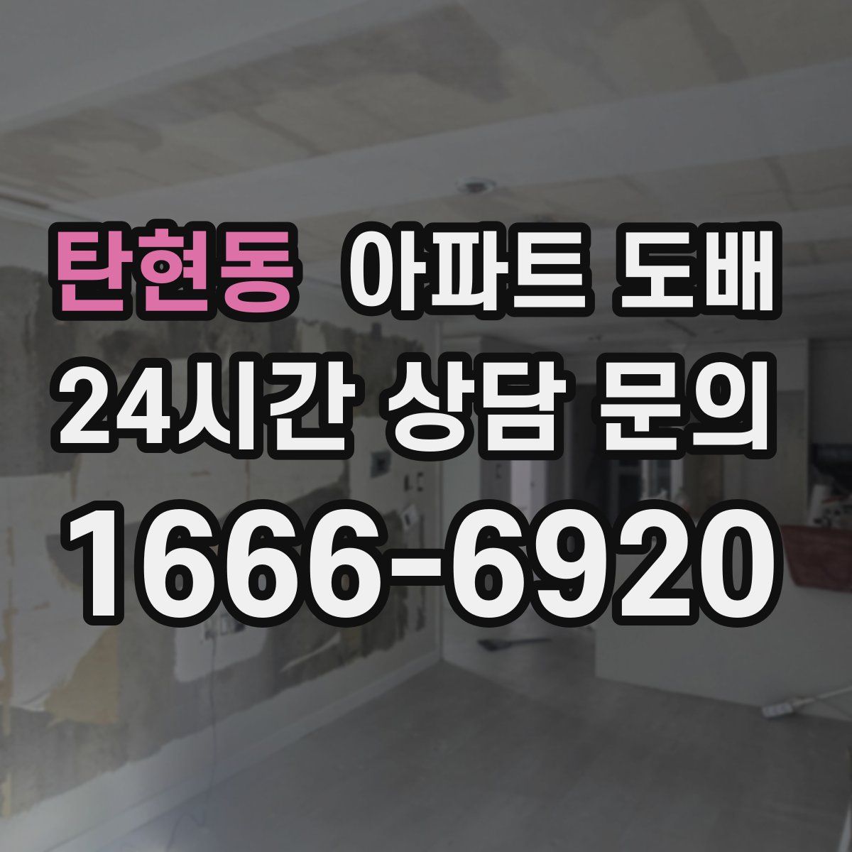 탄현동 아파트 도배