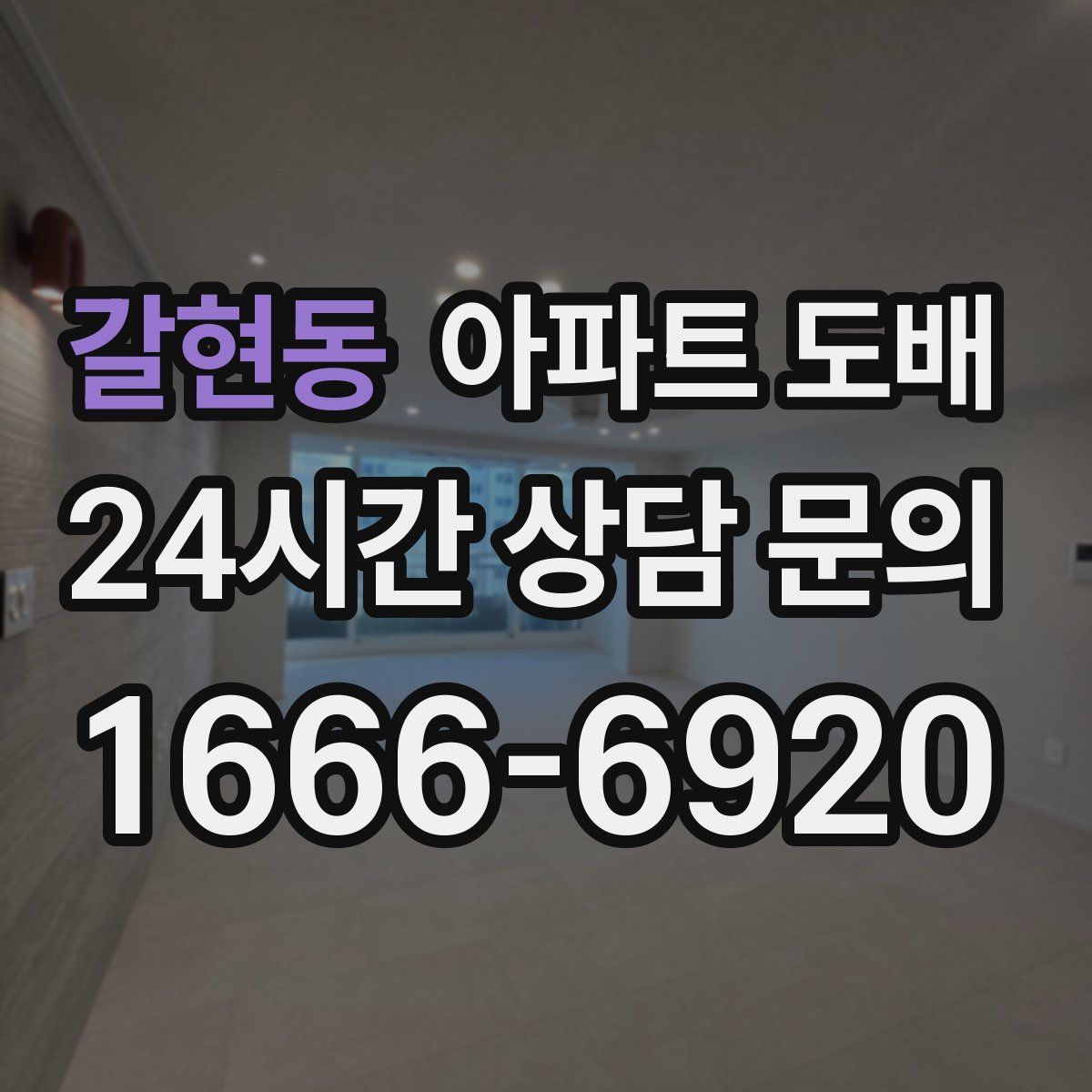 갈현동 아파트 도배
