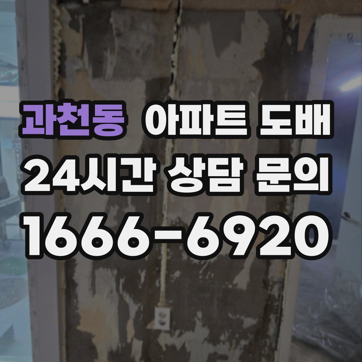 과천동 아파트 도배