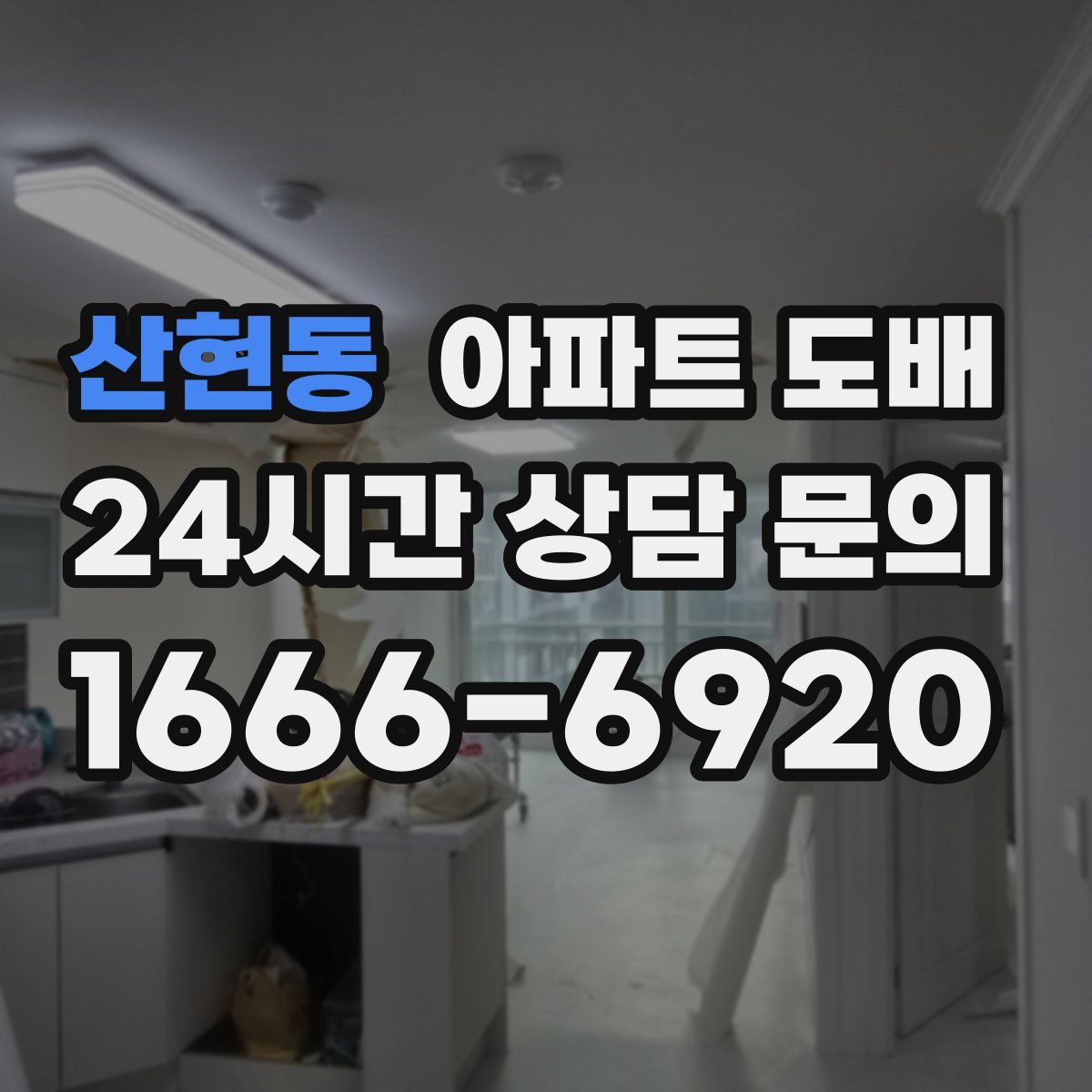 산현동 아파트 도배