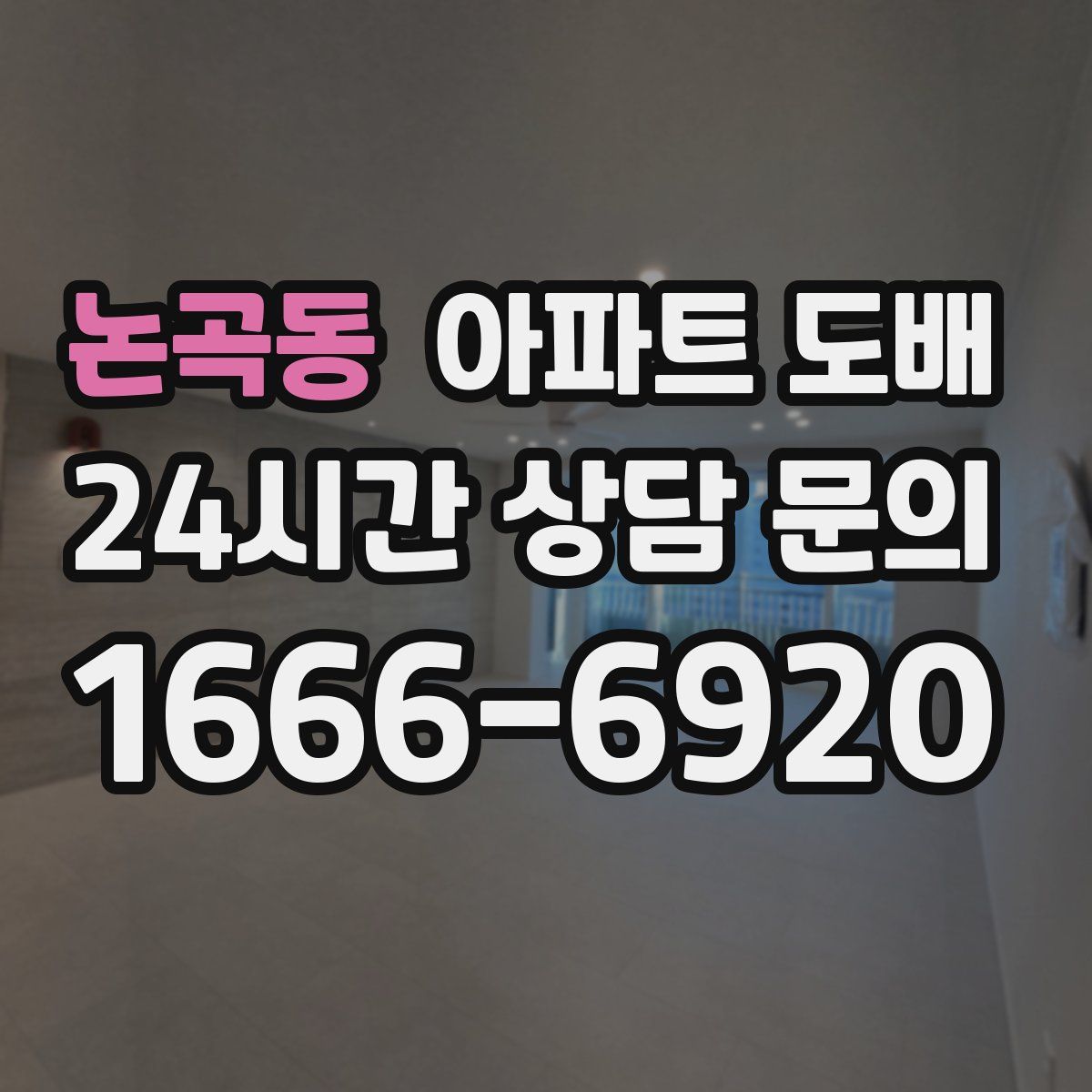 논곡동 아파트 도배