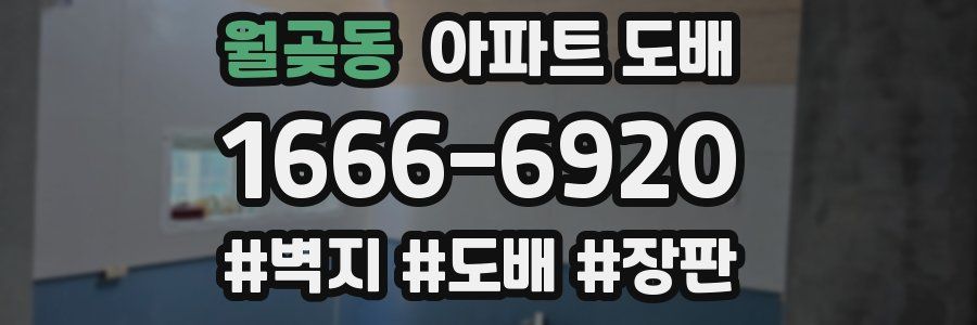 월곶동 아파트 도배