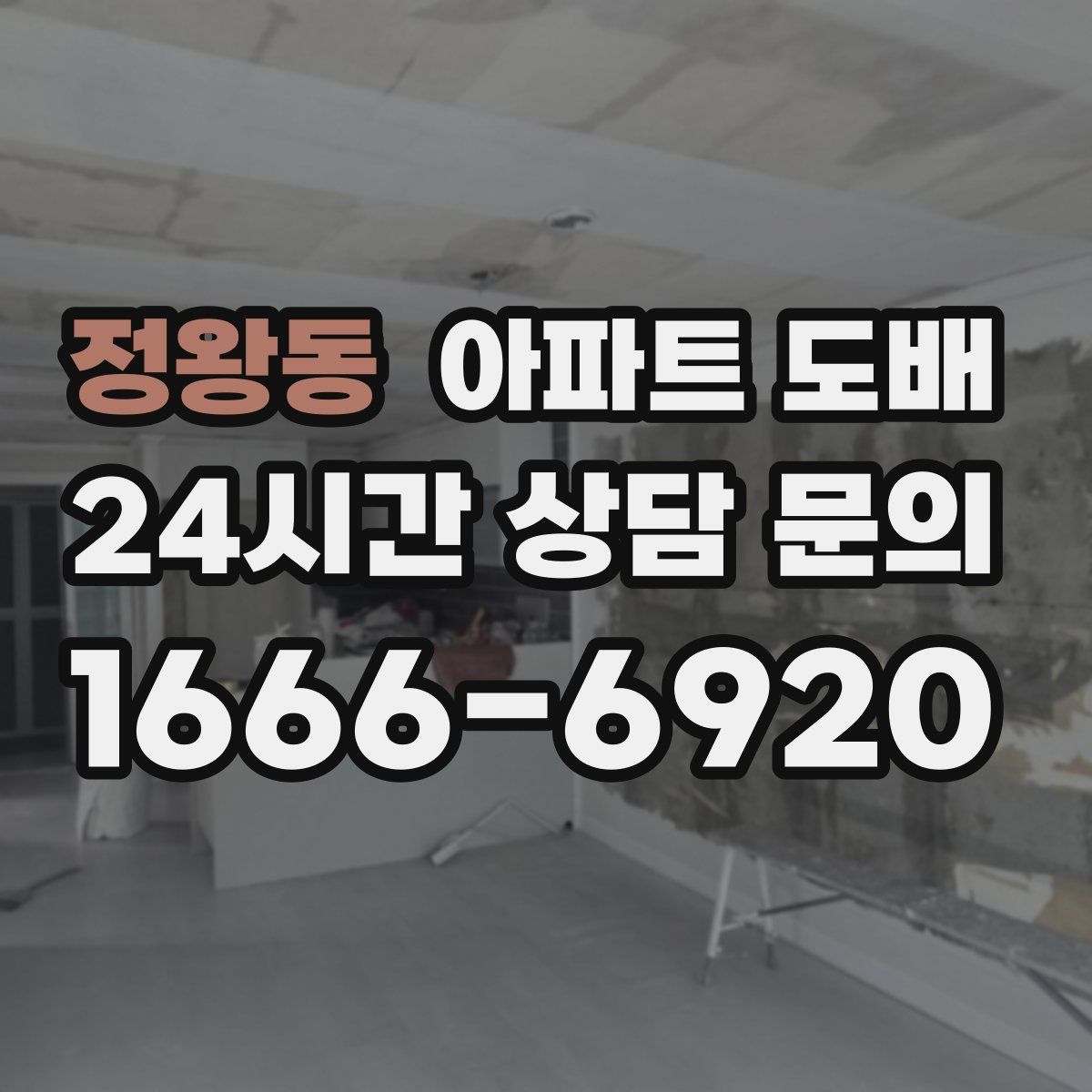 정왕동 아파트 도배