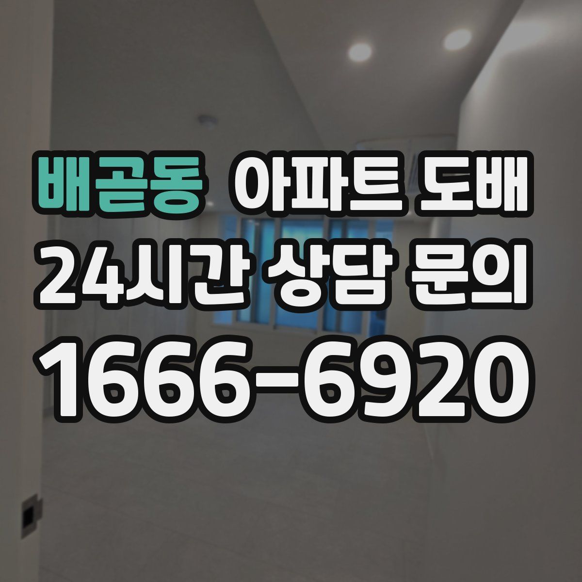 배곧동 아파트 도배