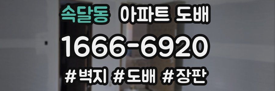 속달동 아파트 도배